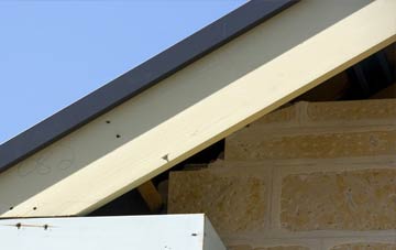 Raby fascia repairs