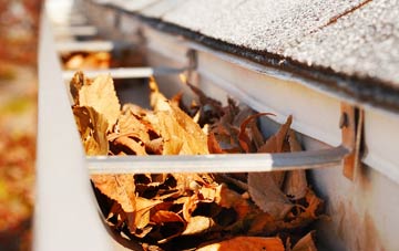 Raby gutter cleaning companies