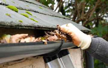gutter cleaning Raby