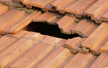 roof repair Raby