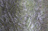 Raby fibreglass roof work
